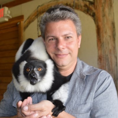 Profile Picture of Thomas Lustig (@LustigTom) on Twitter