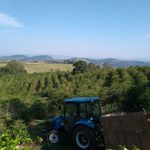 Profile Picture of Sítio Santa Rita Coffees (@sitiosantarita_coffees259) on Instagram