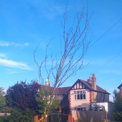 Profile Picture of Alex Skinner (@FixMiltonRoad) on Twitter