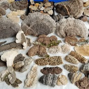 Profile Picture of Joseph Rizzo (@JosephRizzo-u2l) on Youtube