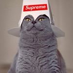 Profile Picture of Daniel Julian Bemelen (@ornscev) on Instagram