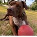 Profile Picture of Paul A Mabe (@paula.mabe.501) on Facebook
