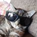 Profile Picture of Howard Kater (@howard.kater.12) on Facebook