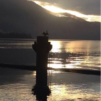 Profile Picture of Richard Krull (@EatmeGuy) on Twitter