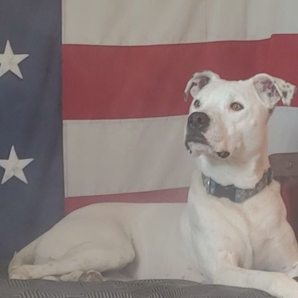 Profile Picture of Morty Mortensen (@edm32) on Poshmark