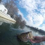 Profile Picture of Brandon Cramer (@atxbassking) on Instagram