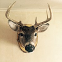 Profile Picture of Thomas Ruble (@thomas-ruble-7) on Quora