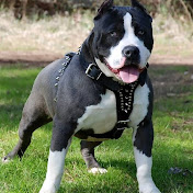 Profile Picture of Nicolas Galarza (@nicolasgalarza2558) on Youtube