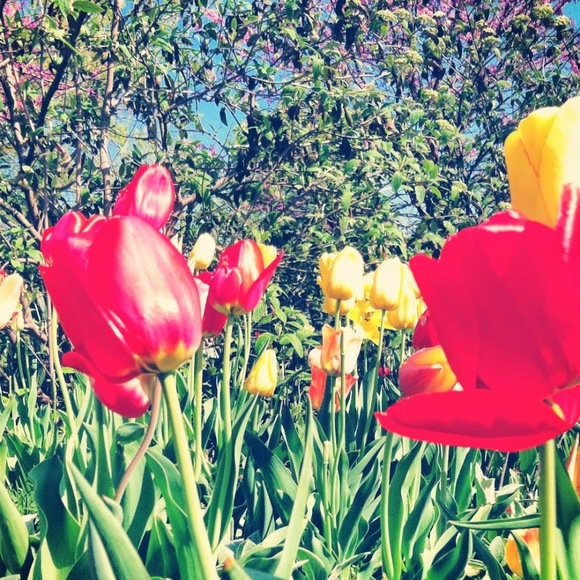 Profile Picture of Alison Buffer (@abuffer08) on Poshmark