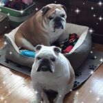 Profile Picture of Lou Higgins (@louhiggins218) on Instagram