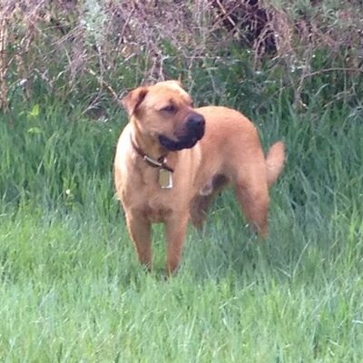 Profile Picture of Peter Roy (@GreenwayNation) on Twitter