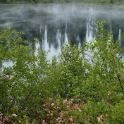 Profile Picture of Eun Hee Chang (@eunheechang9488) on Youtube