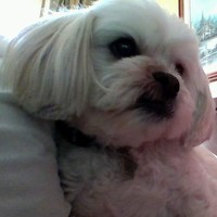 Profile Picture of Cora Hall (@cora-hall-20) on Quora