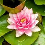 Profile Picture of Eva Davidsson (@evadavidsson9) on Instagram