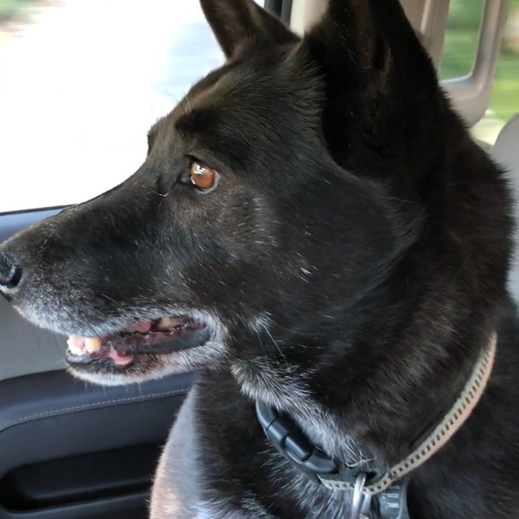 Profile Picture of Ben Ramsey (@bmramsey1988) on Poshmark