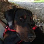 Profile Picture of Blas Del Rio Bianco (@blasmythosdrb) on Instagram