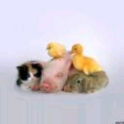 Profile Picture of Aaron Culbertson (@AaronCulbertso6) on Twitter