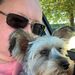 Profile Picture of Brandy Redoblado (@brandy_redoblado) on Pinterest
