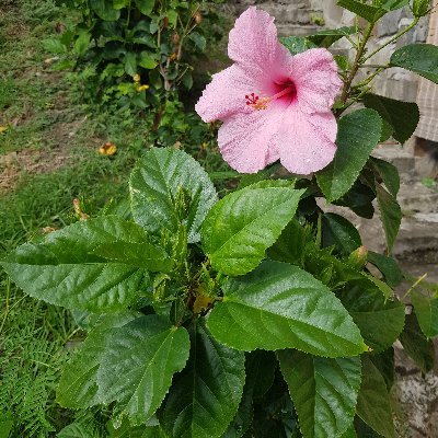 Profile Picture of Bianca George (@BiancaG89282374) on Twitter