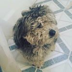 Profile Picture of Jonathan Zamora (@levitheheichou_) on Instagram