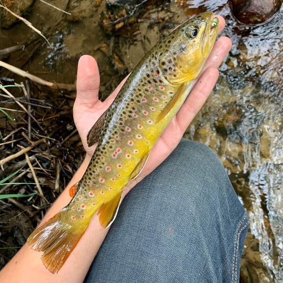 Profile Picture of Jordan Coseo (@jccoseo) on Poshmark