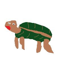 Profile Picture of Brian McCue (@a_turtle_a_day) on Twitter