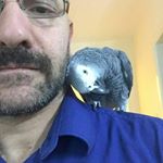 Profile Picture of Albert Winton (@albertwinton) on Instagram