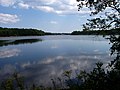 Profile Picture of Wenham Lakeon Wikipedia