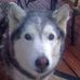 Profile Picture of Jason Stroup (@jason.stroup.94) on Facebook