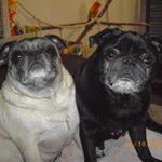 Profile Picture of Doris Murphy (@murphydoris) on Instagram