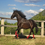 Profile Picture of Julio Garcia Garcia (@julio garcia garcia) on Flickr