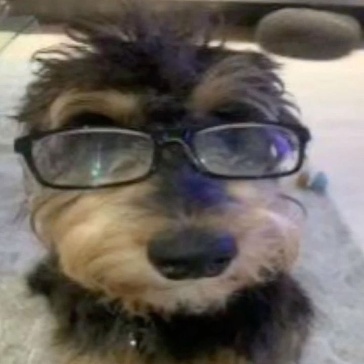 Profile Picture of young sheldon fan page (@definitelynotkimmyy) on Tiktok