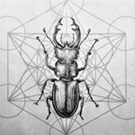 Profile Picture of eva_schmidinger_tattoo (@eva_schmidinger_tattoo) on Instagram