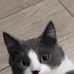 Profile Picture of Kim Cat (@kim.cat.94801) on Facebook