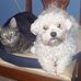 Profile Picture of Keith Wiley (@keith.wiley.5688) on Facebook