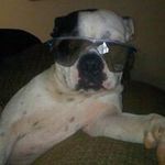 Profile Picture of Stephanie Chadwick (@scagle02) on Instagram