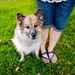 Profile Picture of Puiling Loo (@puilingloo) on Pinterest