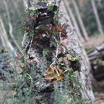 Profile Picture of Jude Scollay-Smith (@sniperoperativejude) on Instagram