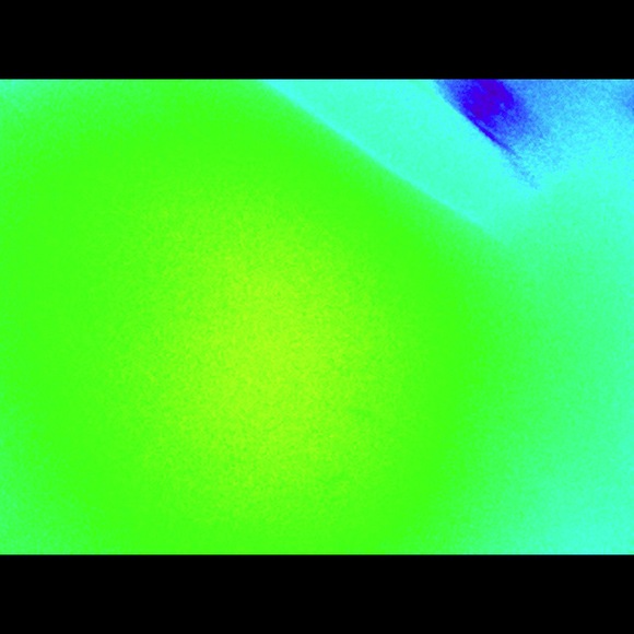 Griselda Ibarra - Poshmark Profile Picture of Griselda Ibarra (@griselda1012) on Poshmark