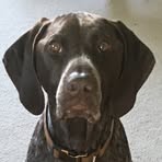 Profile Picture of Jon Fournier (@Jon-Fournier) on Facebook