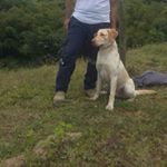 Profile Picture of Carlos Ariel Restrepo (@carcho680) on Instagram