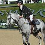 Profile Picture of ▪️ T H O M A S▪️ (@thomasfrancisjones_showjumper) on Instagram