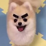 Profile Picture of ^^ me rn @agnifilofacts (@oldagnifilofacts) on Instagram