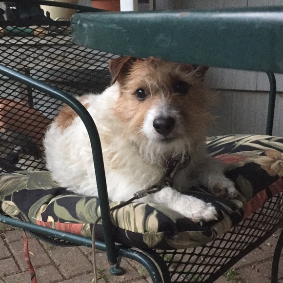 Profile Picture of Casey Mccarthy (@mccarthyca) on Poshmark