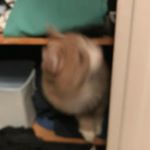 Profile Picture of Jakob Osmundnes Losnegaard (@jakobfelixen) on Instagram