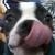 Profile Picture of Julian Orjuela (@427961333) on Myspace