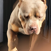 Profile Picture of Craig Walters (@craigwalters.) on Youtube