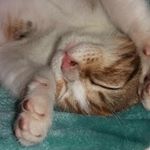 georgiy spires - Instagram Profile Picture of georgiy spires (@geodonut) on Instagram