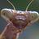 Profile Picture of T. Carter Ross (@t carter) on Flickr