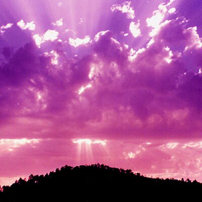 Profile Picture of Wendy Jensen (@WendyJensen801) on Twitter